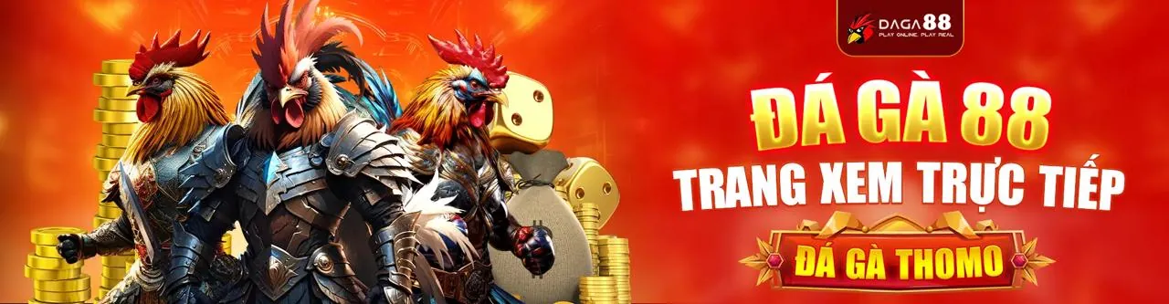 Hình ảnh đá gà trực tuyến sôi động tại vn123 code